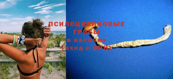 прущие грибы Няндома