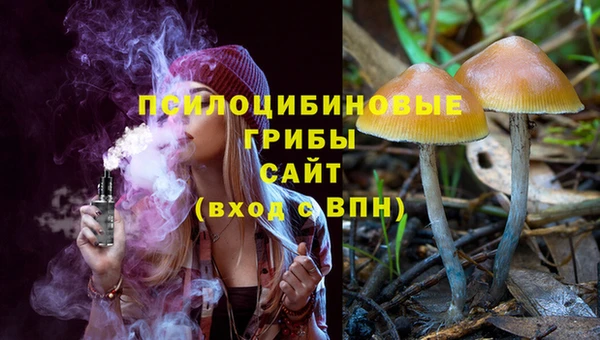 прущая мука Осинники