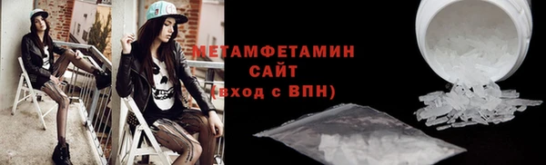 прущие грибы Няндома