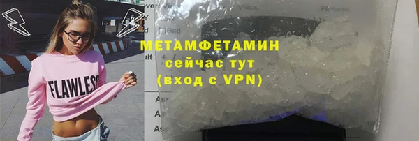 прущие грибы Няндома