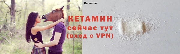 прущие грибы Няндома