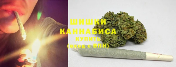 прущие грибы Няндома