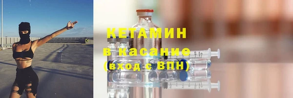 прущие грибы Няндома