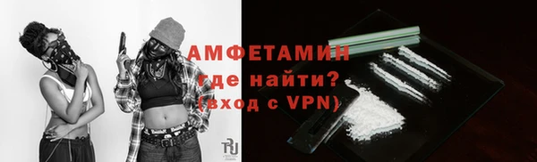 прущие грибы Няндома