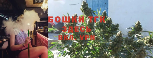 прущие грибы Няндома