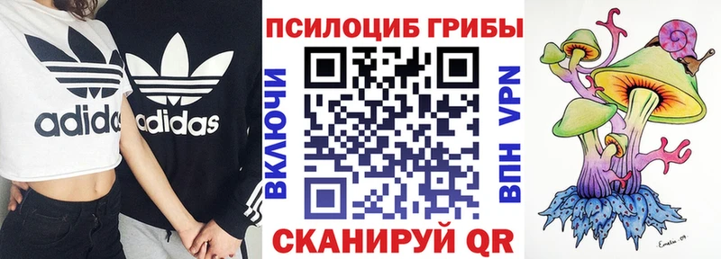 Псилоцибиновые грибы мицелий  Нижнеудинск 