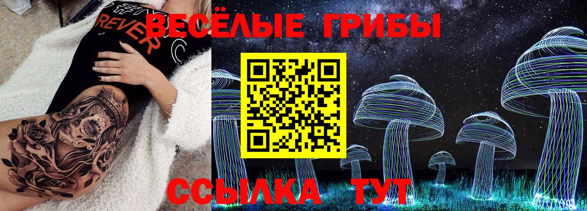 Псилоцибиновые грибы ЛСД  Галлюциногенные грибы Psilocybine cubensis  Нижнеудинск  Вход с VPN 