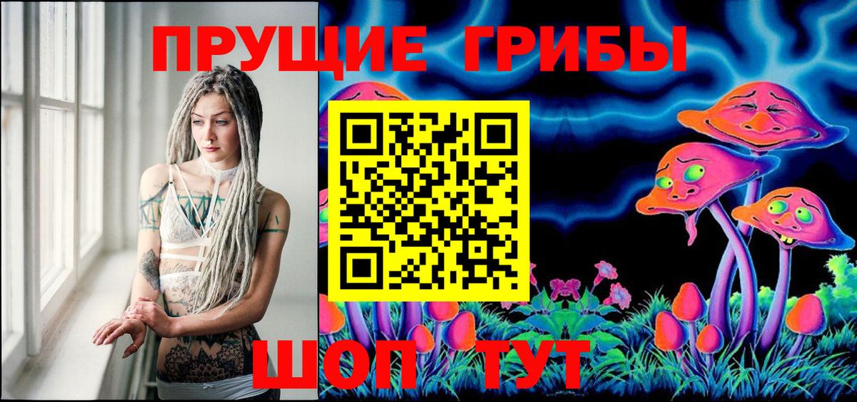 Псилоцибиновые грибы Cubensis Нижнеудинск