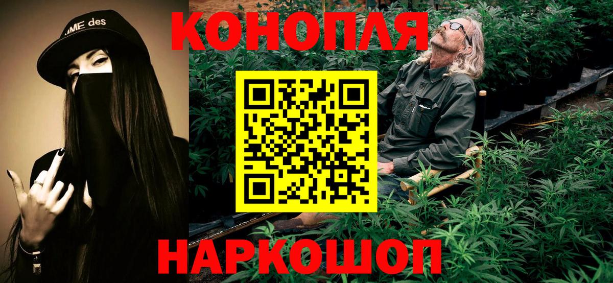 Нижнеудинск  Каннабис план  Канабис гибрид  Вход с VPN  Бошки марихуана тримм 